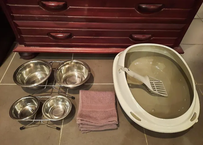 Spacious And Cozy By The Daugava River