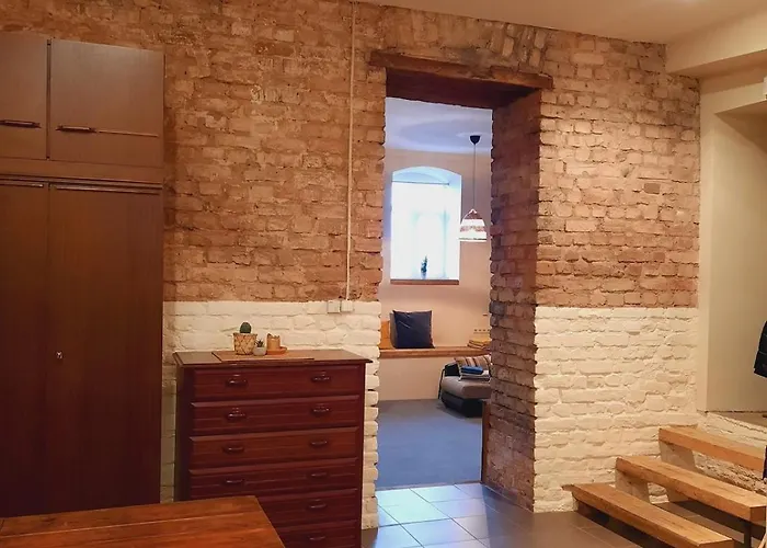 Spacious And Cozy By The Daugava River 公寓 里加